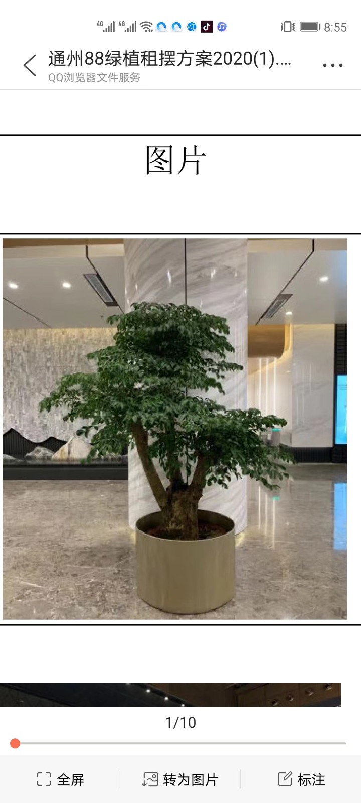 室内绿植租摆