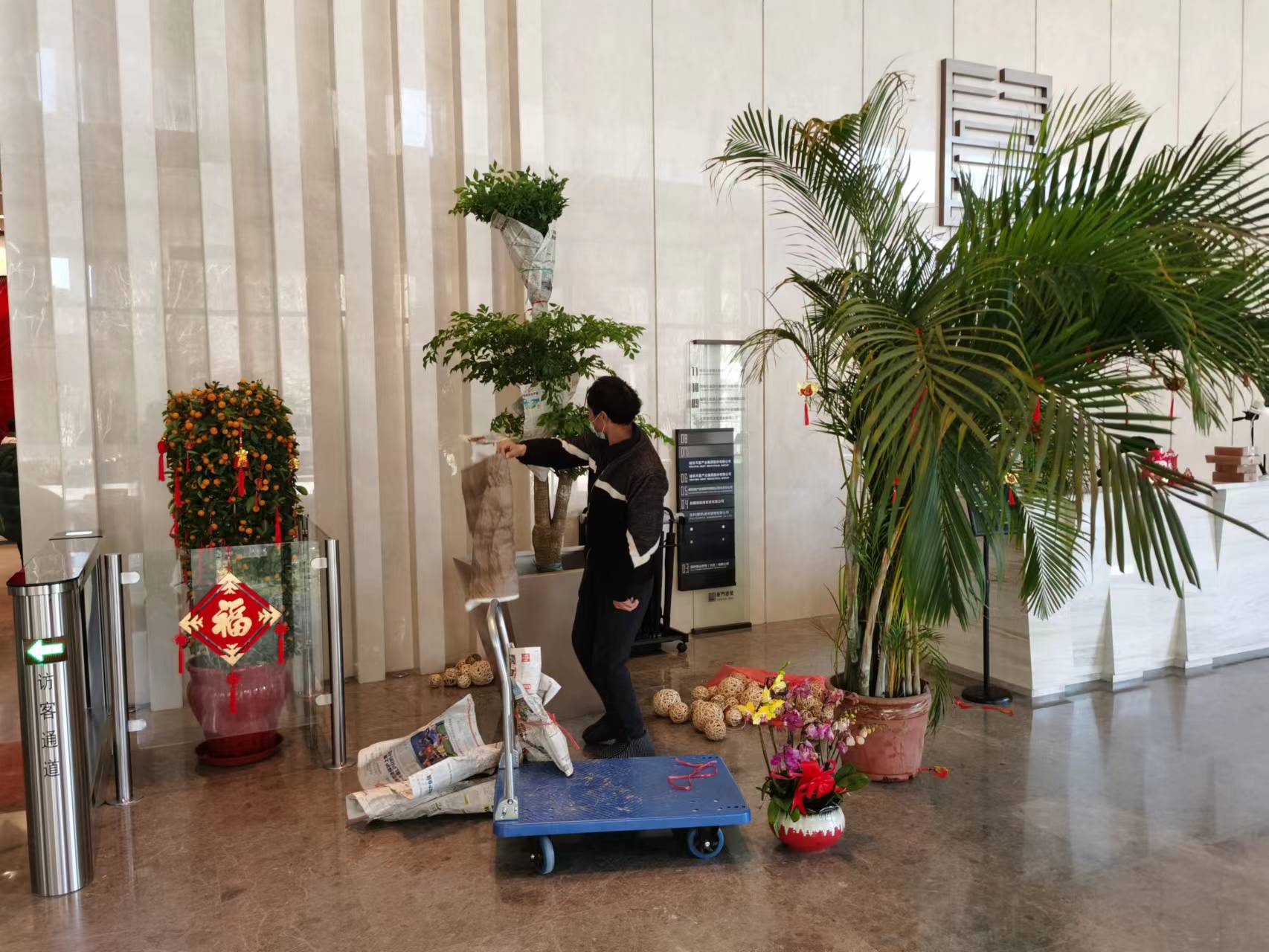 室内绿植租摆