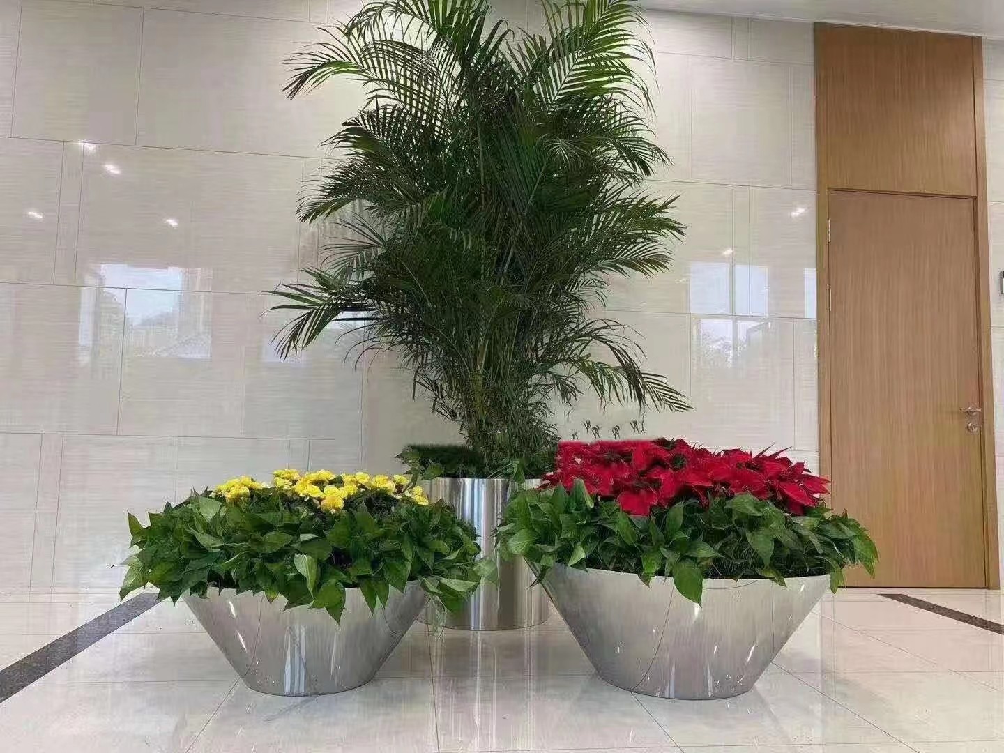 室内绿植租摆2