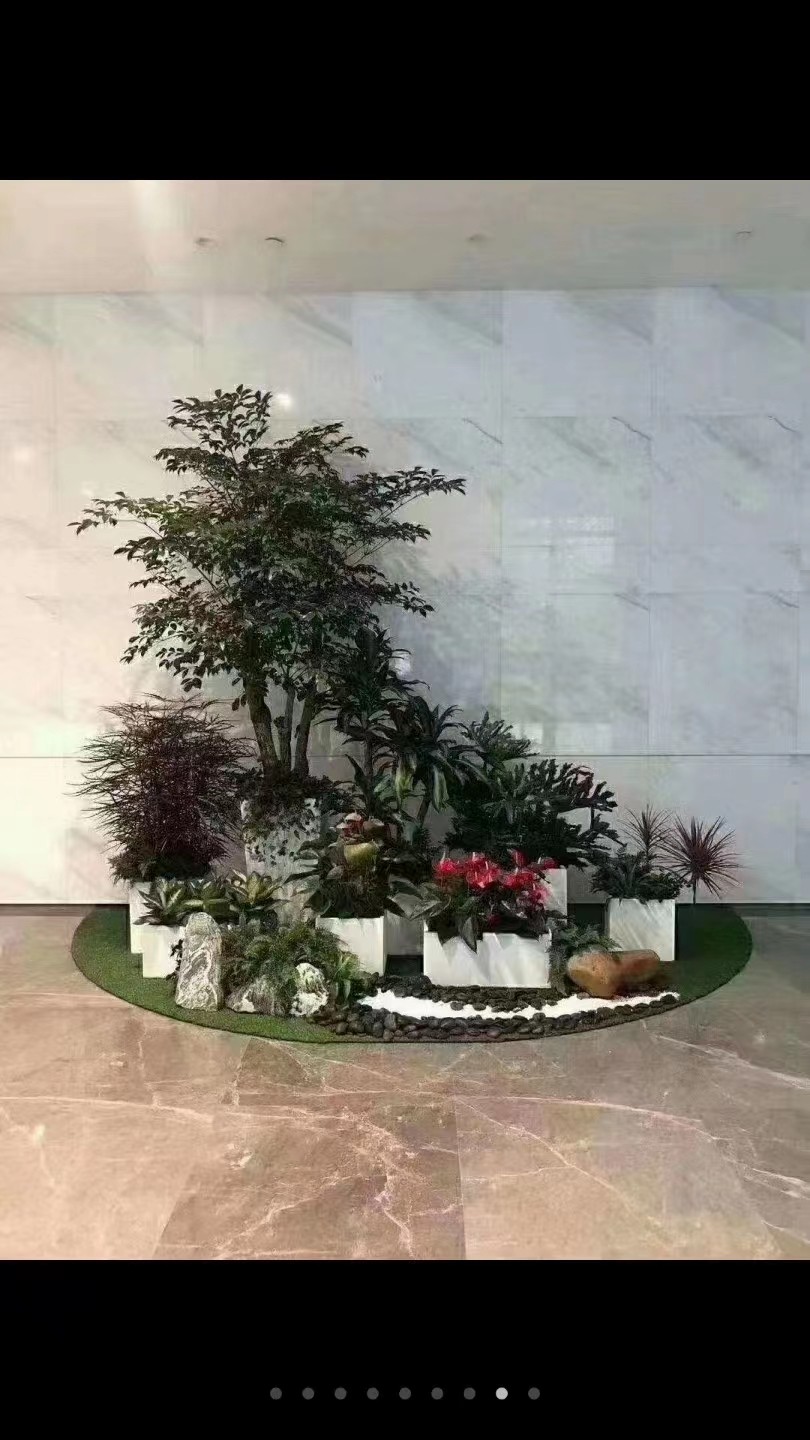 室内绿植租摆3