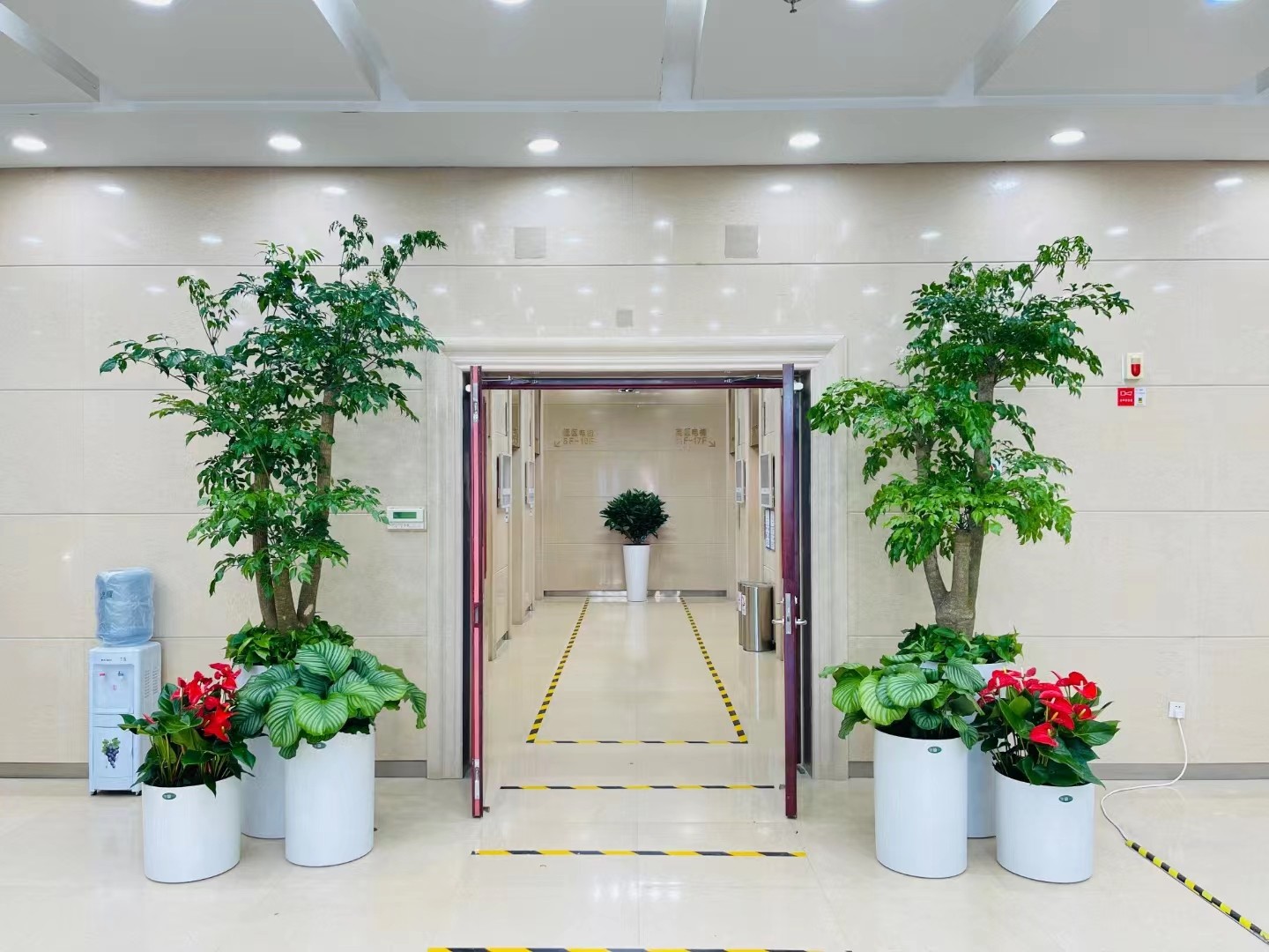 室内绿植租摆3