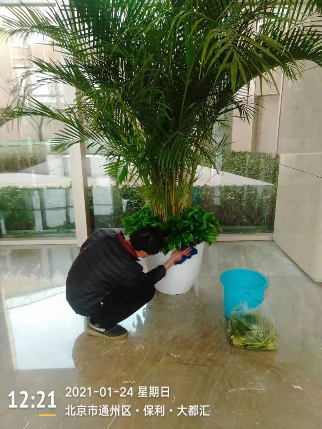 室内绿植租摆3