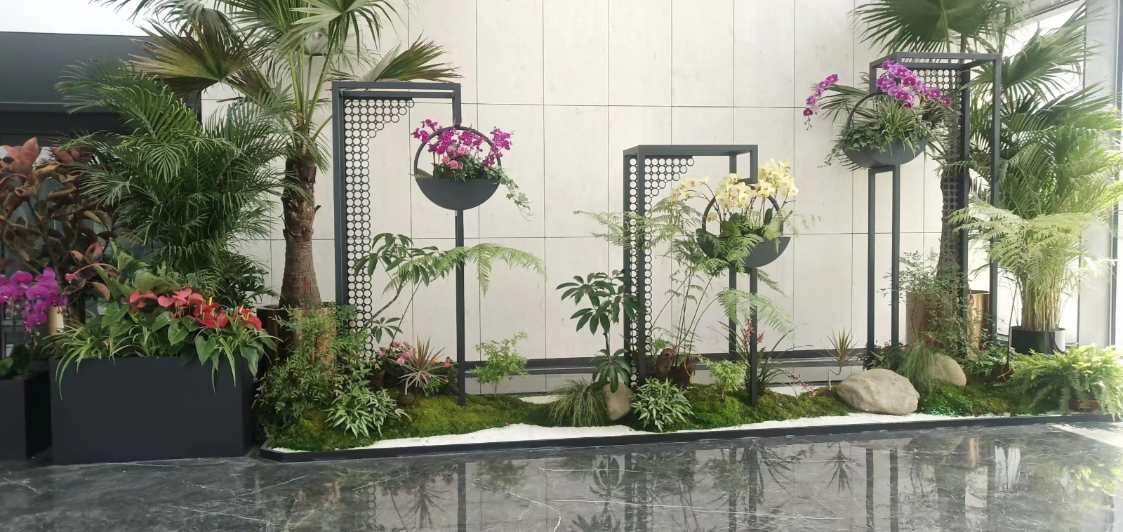 室内绿植租摆4
