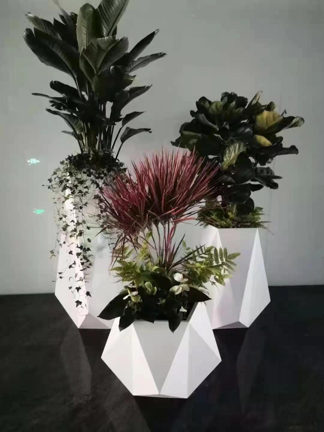 室内绿植租摆6