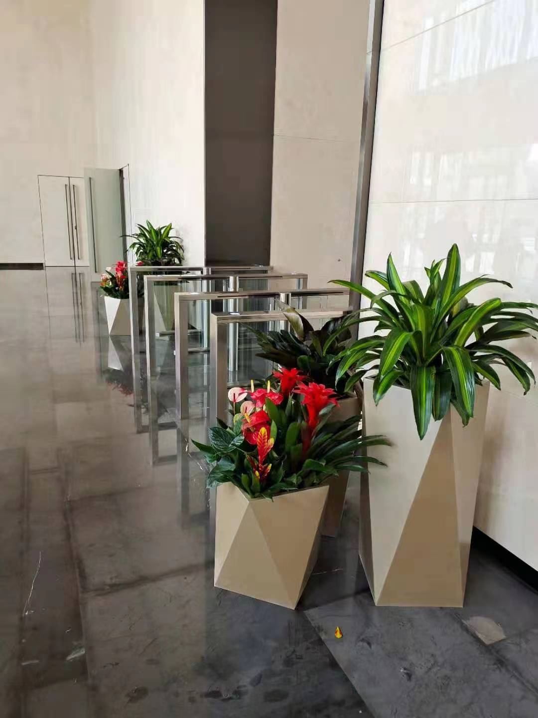 室内绿植租摆7