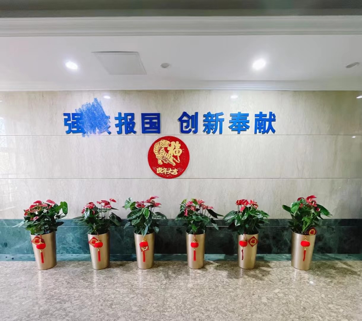 室内绿植租摆7