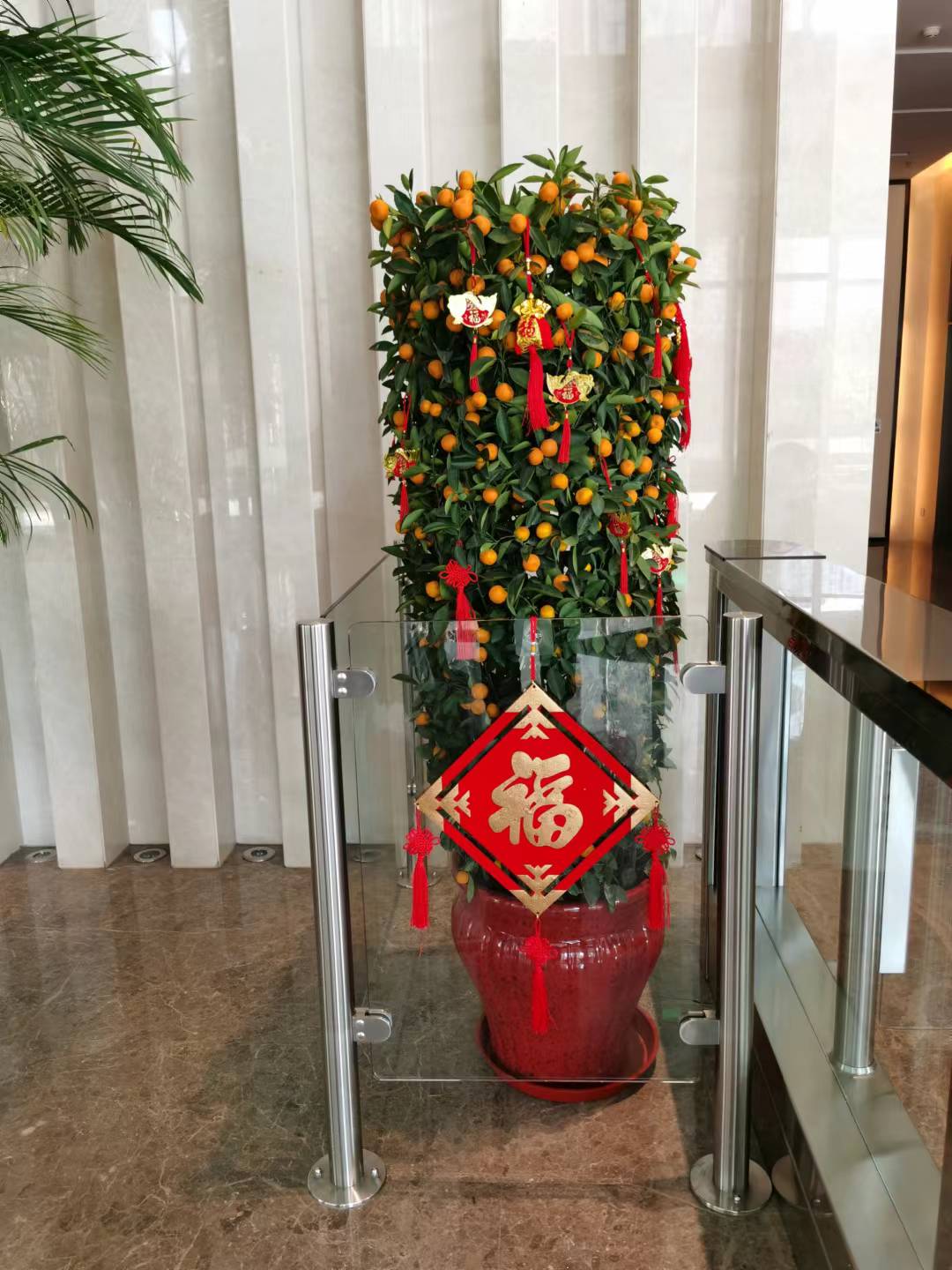室内绿植租摆8