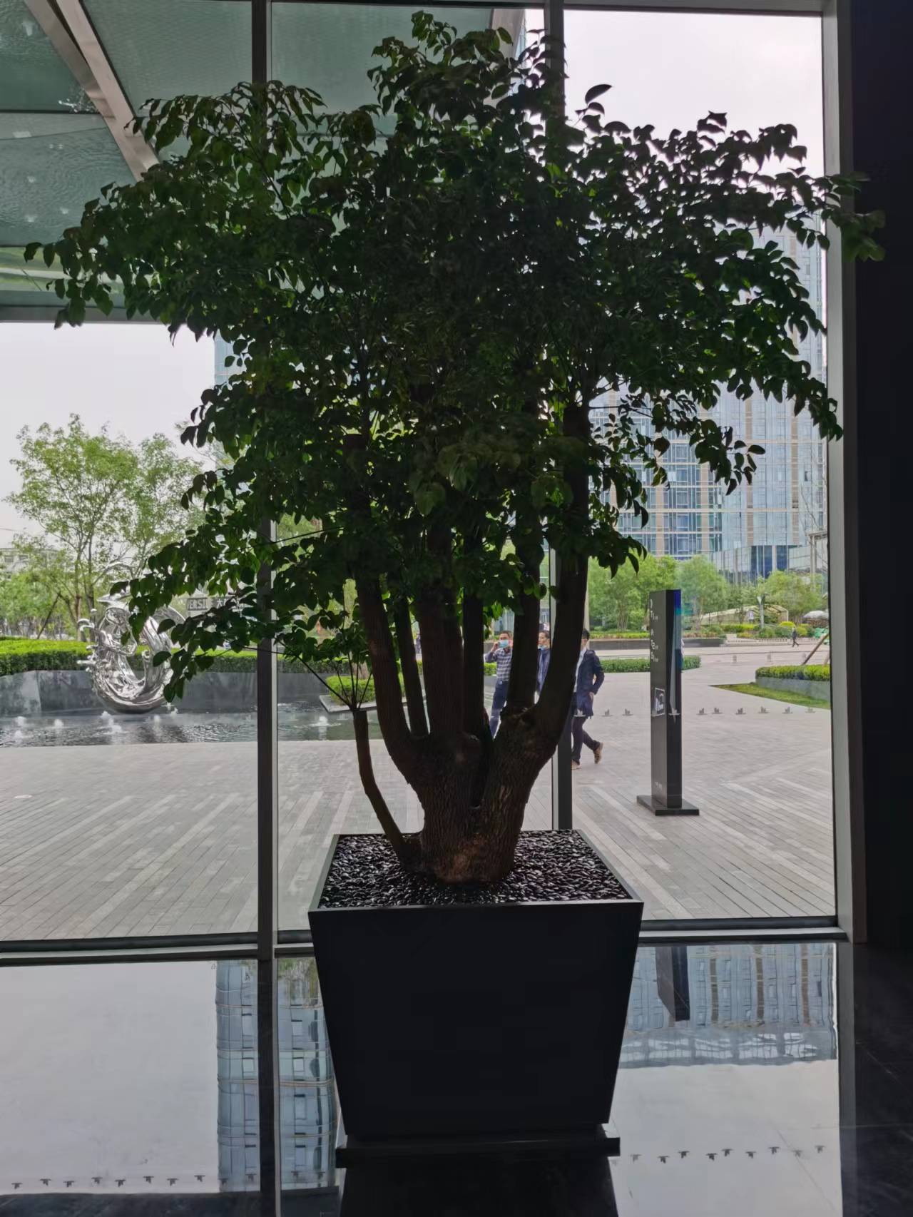 室内绿植租摆8