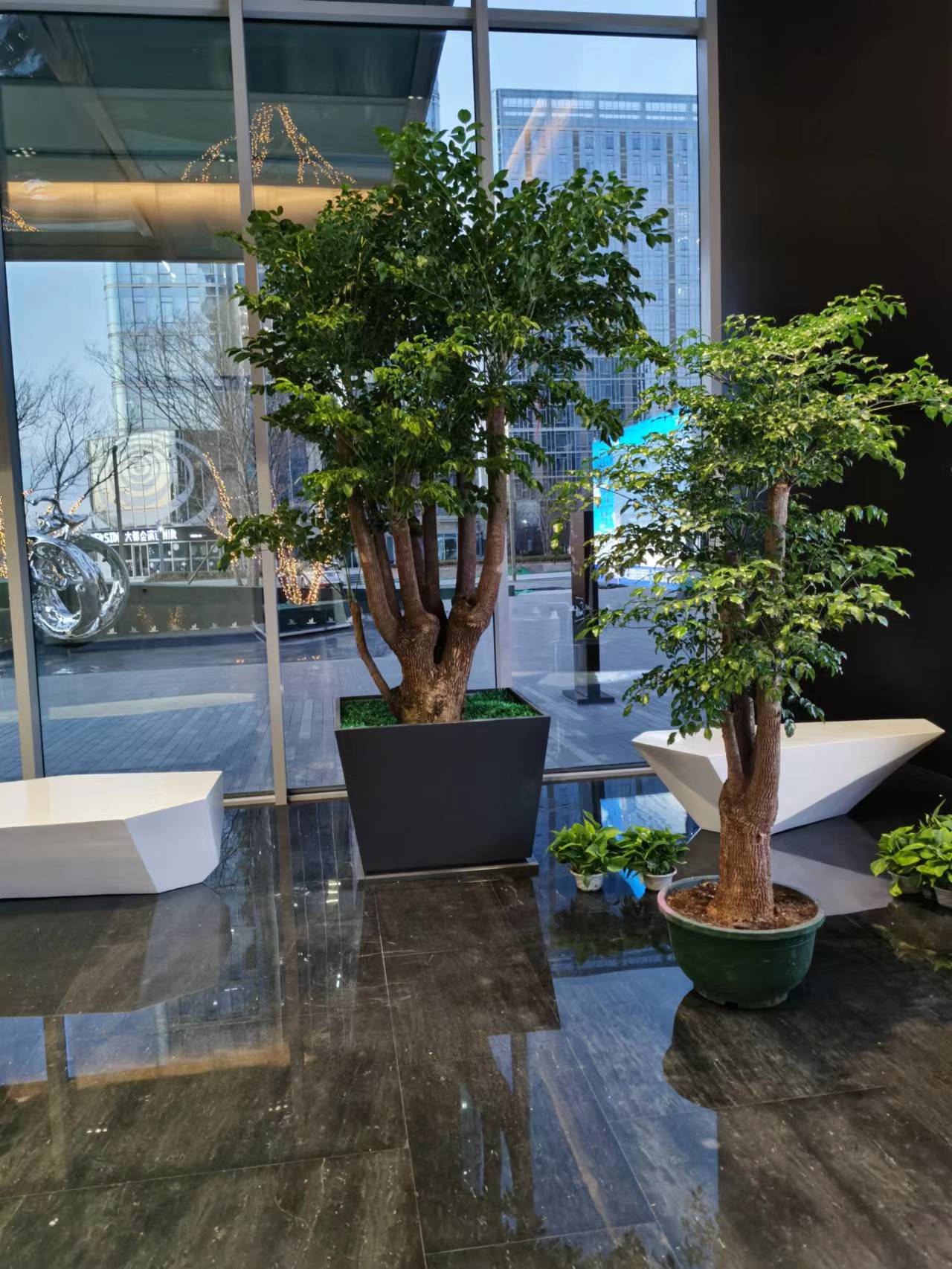 室内绿植租摆8