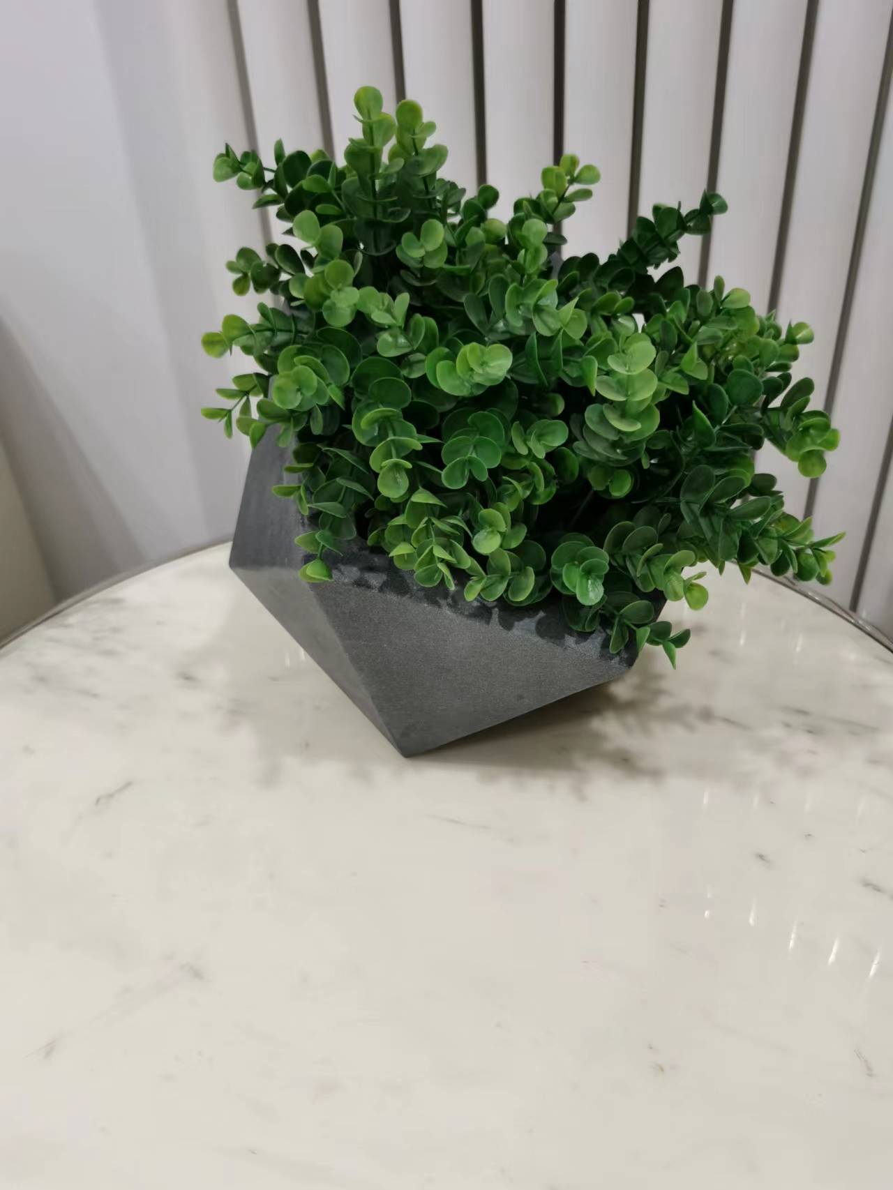 室内绿植租摆9