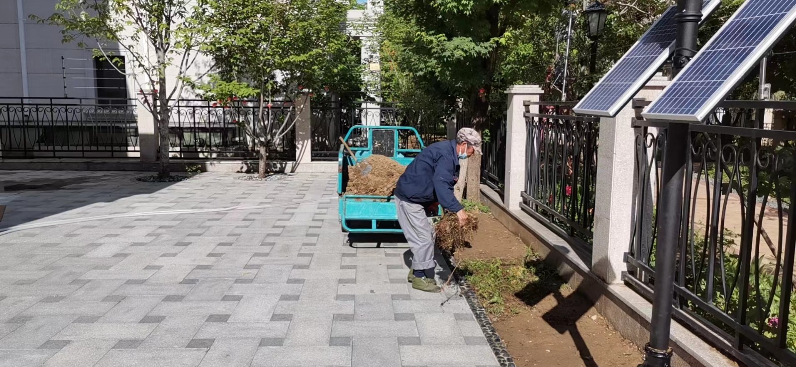 绿化修建改造