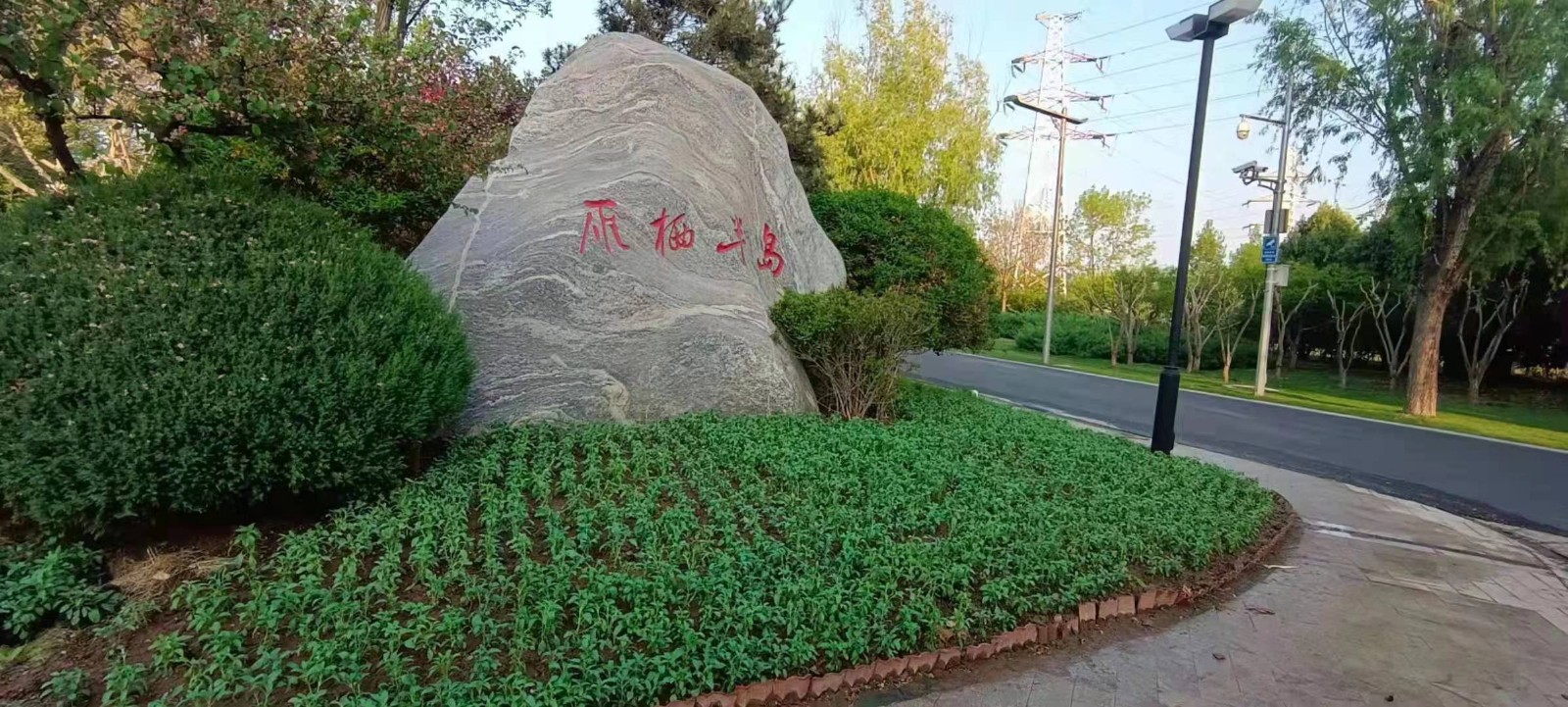 绿化修建改造2