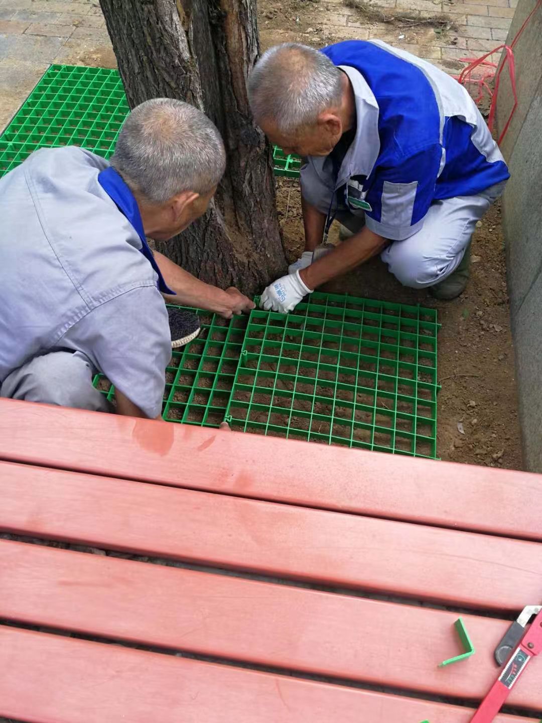 绿化修建改造2