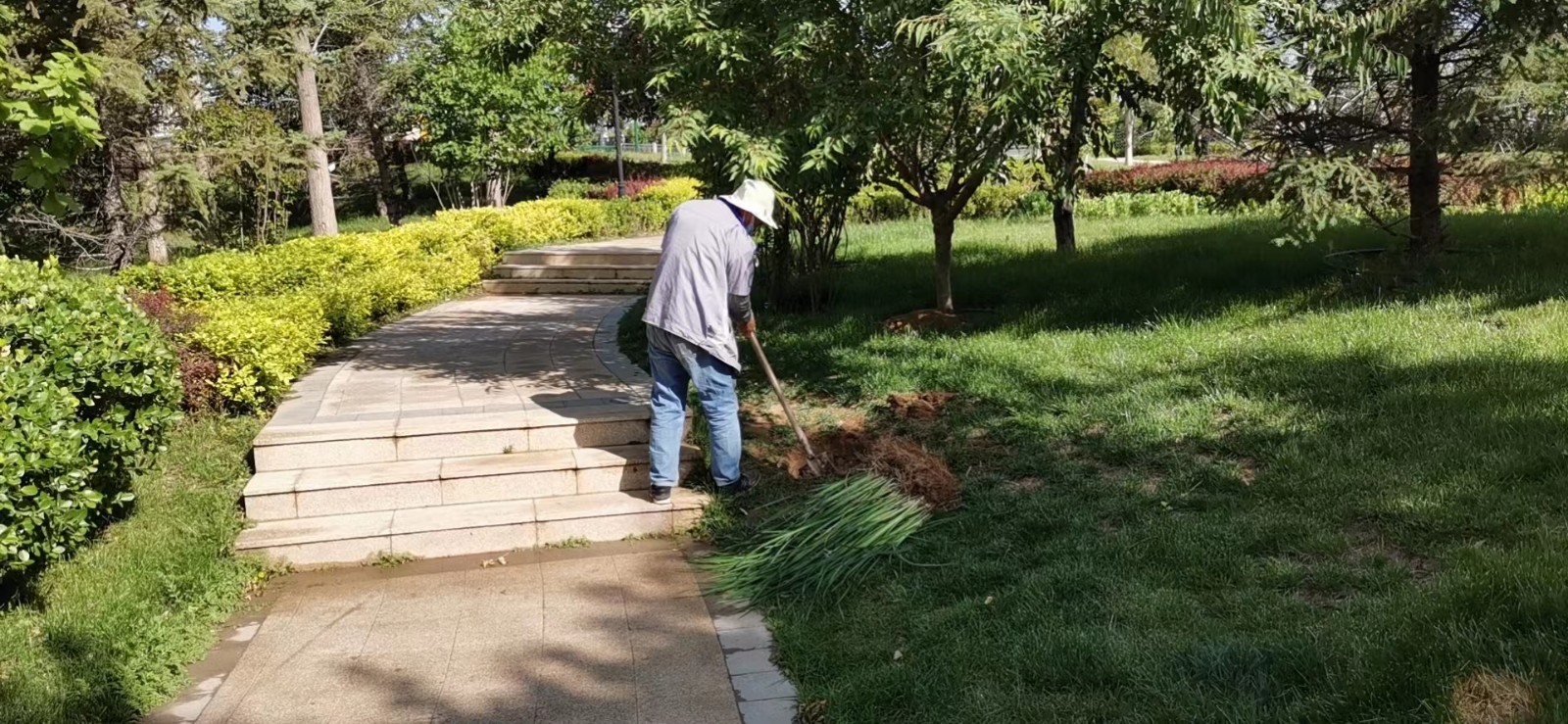绿化修建改造3