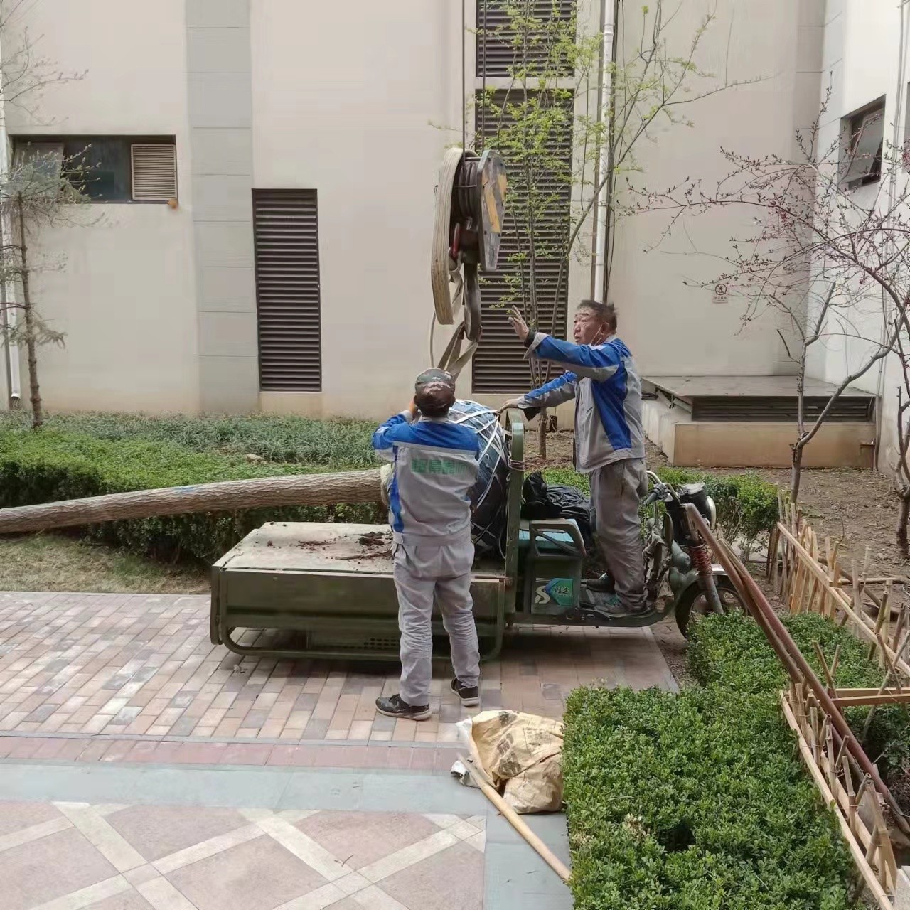 绿化修建改造6