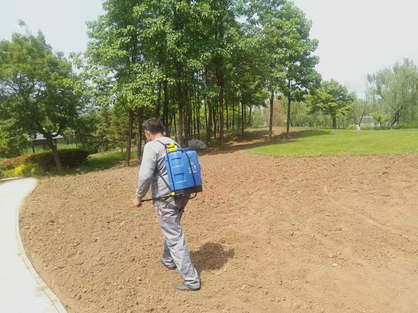 绿化修建改造6