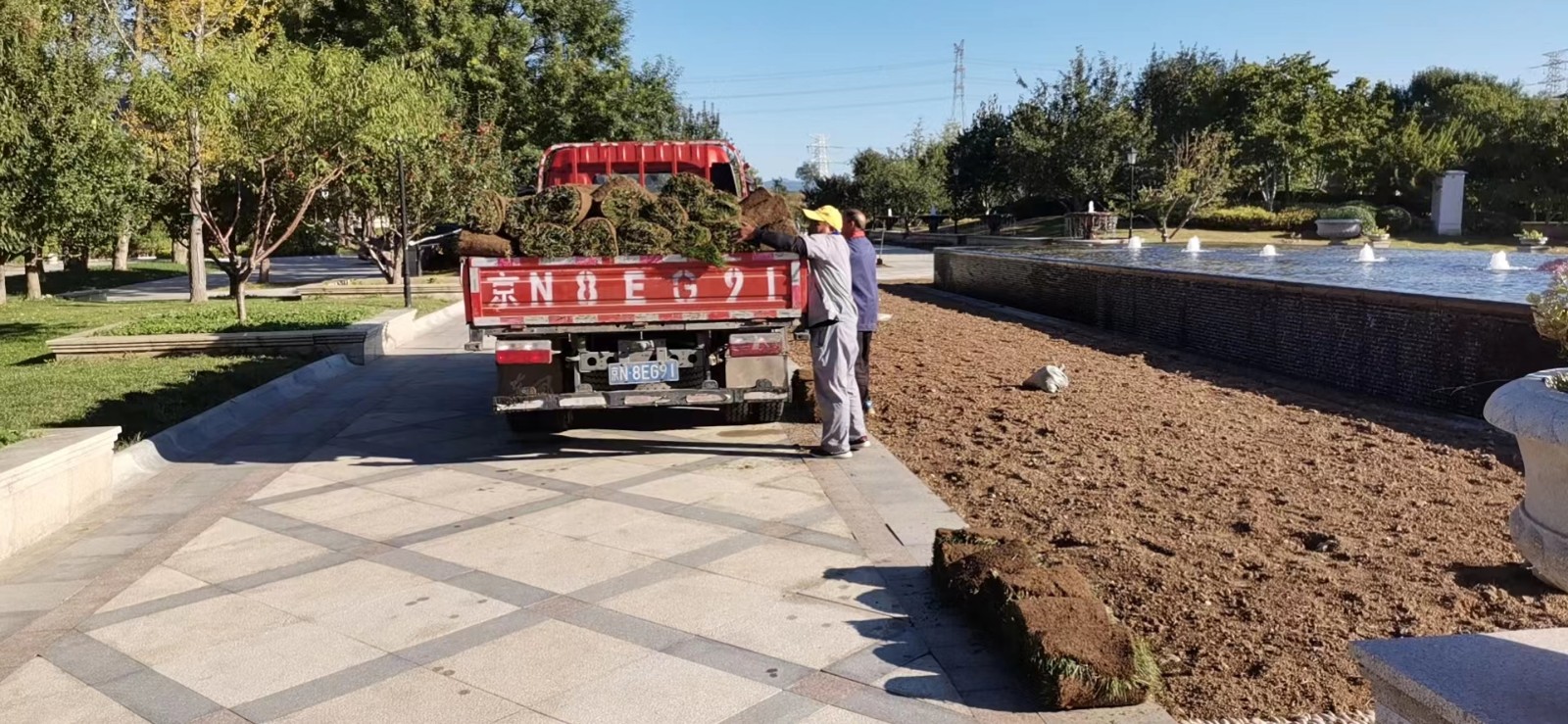绿化修建改造7