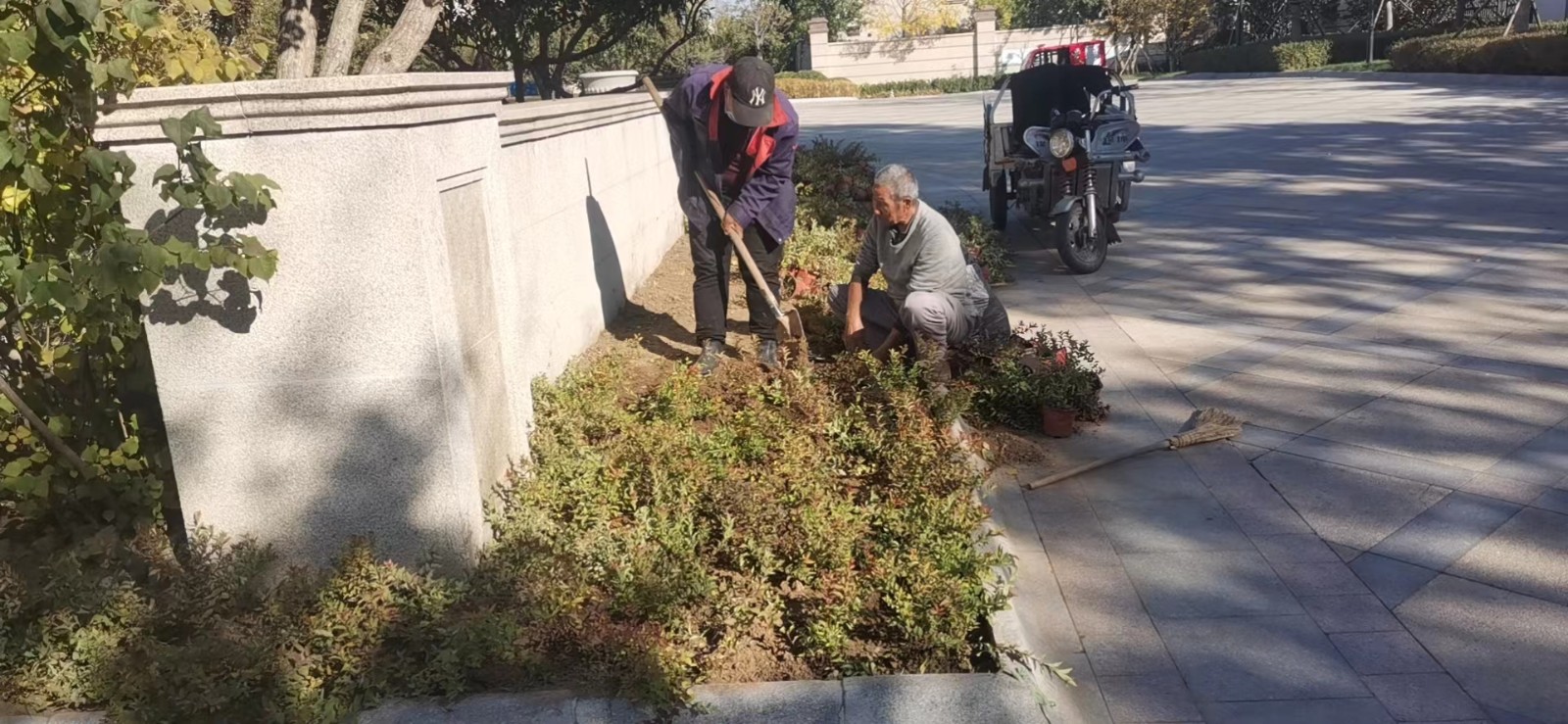 绿化修建改造7