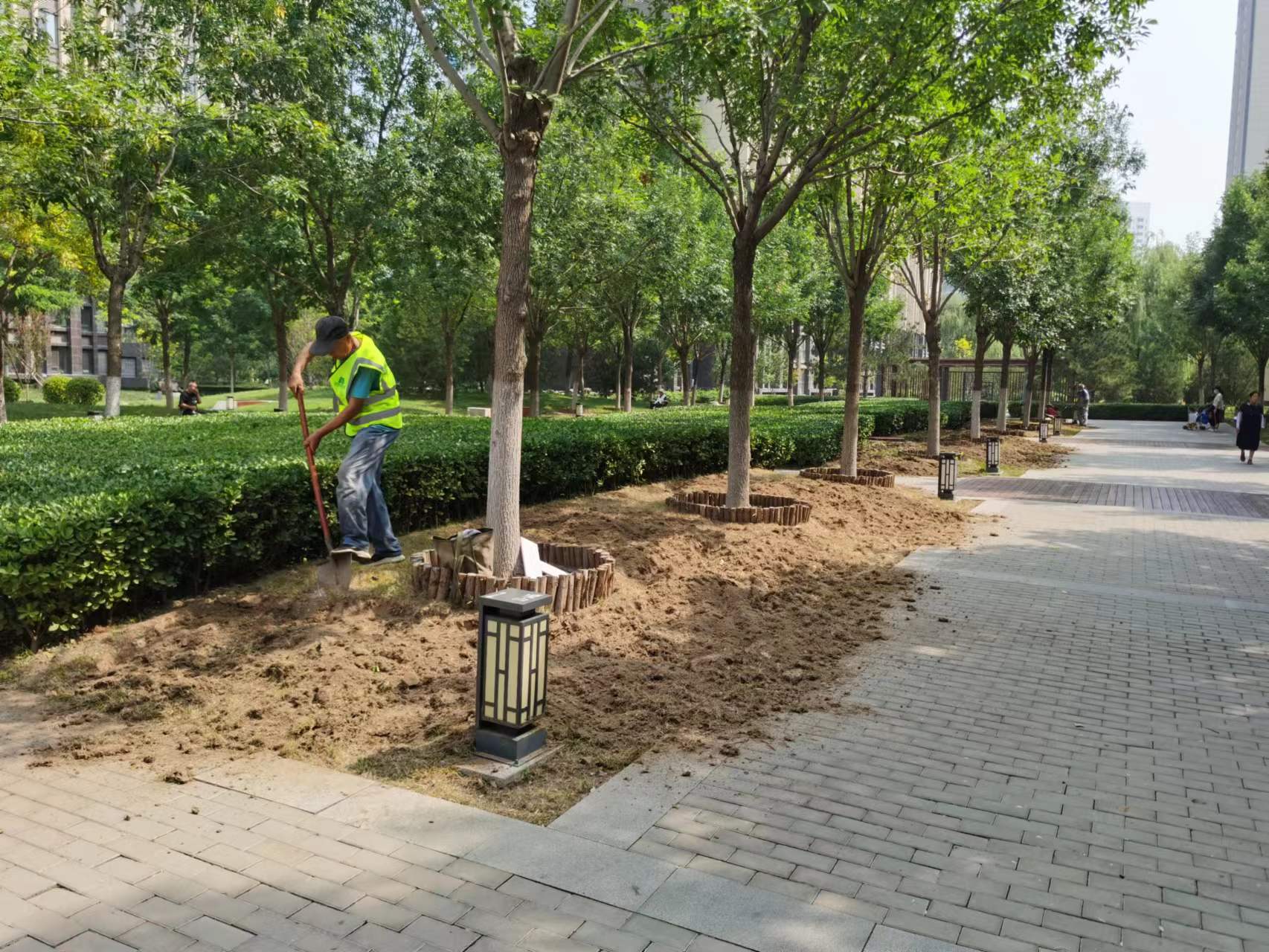 绿化修建改造7