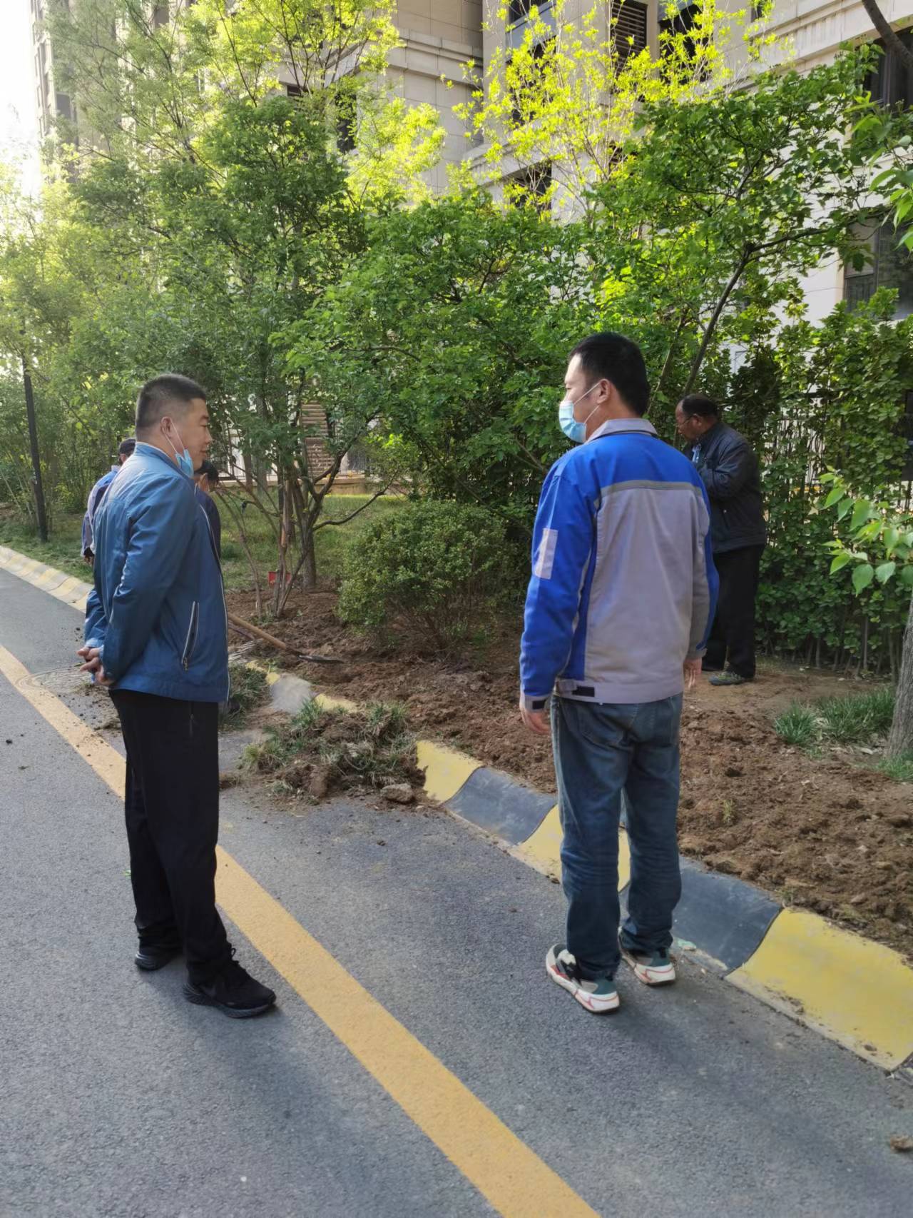 绿化修建改造8