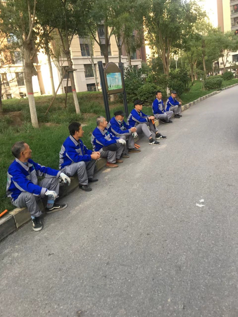 绿化修建改造8