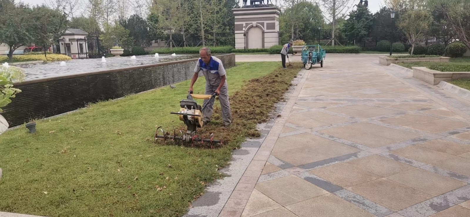 绿化修建改造9