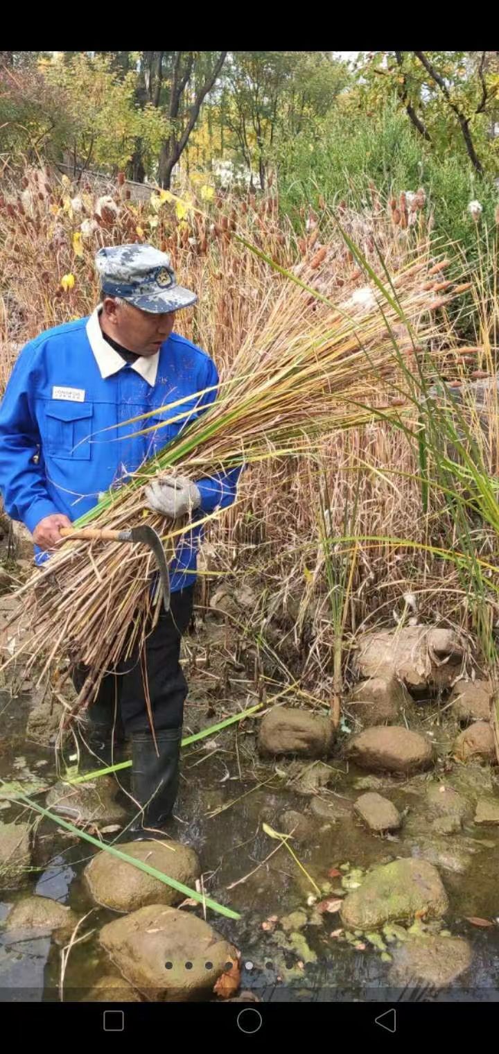 绿化修建改造9