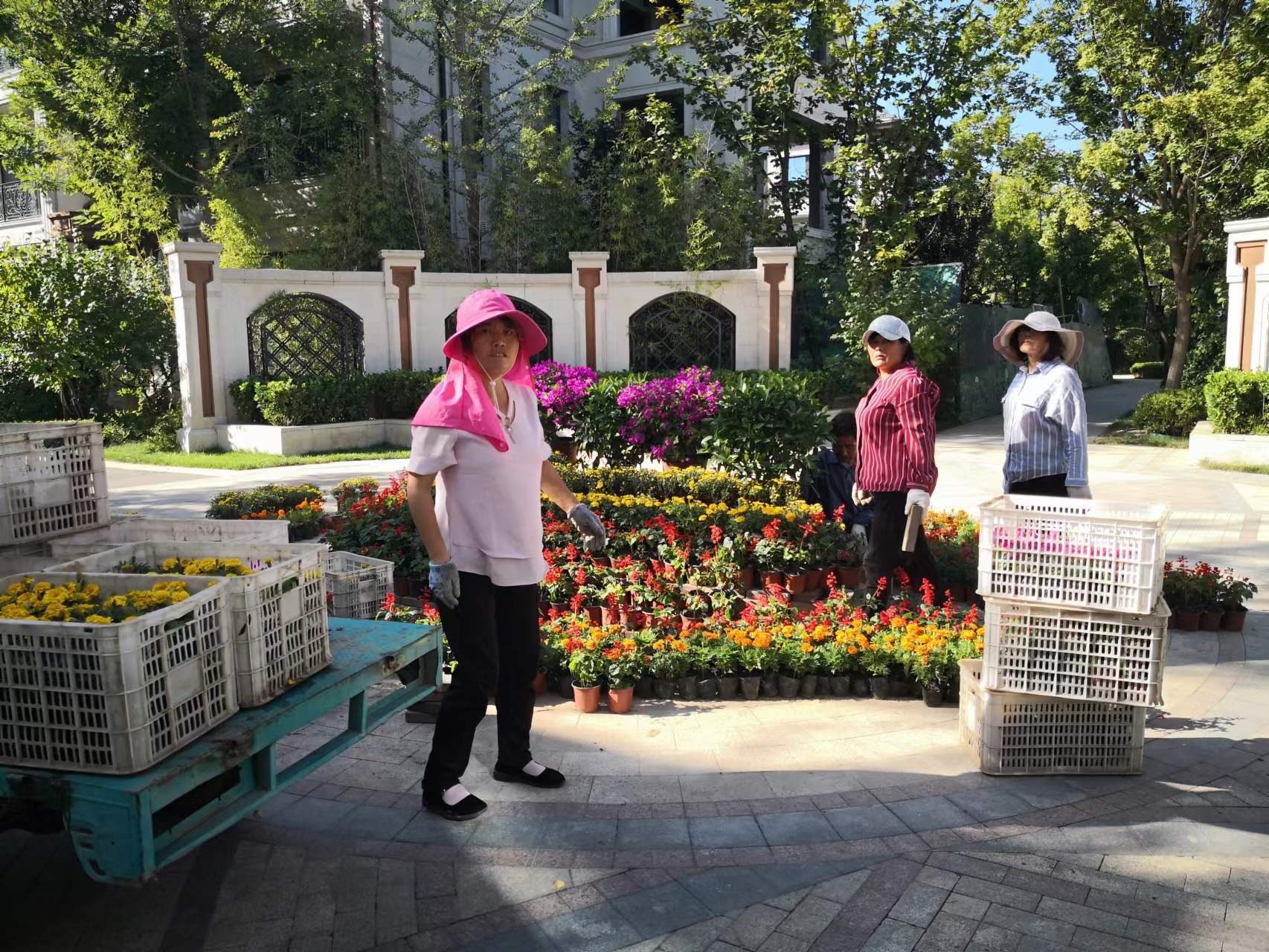 绿化修建改造10