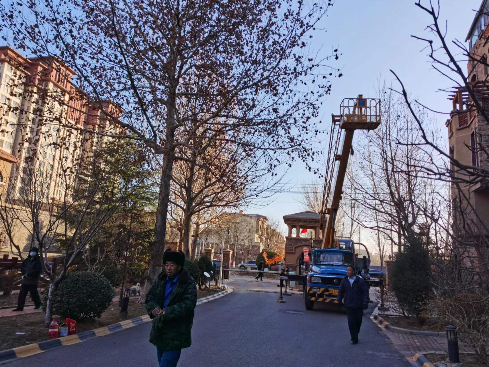 绿化修建改造11