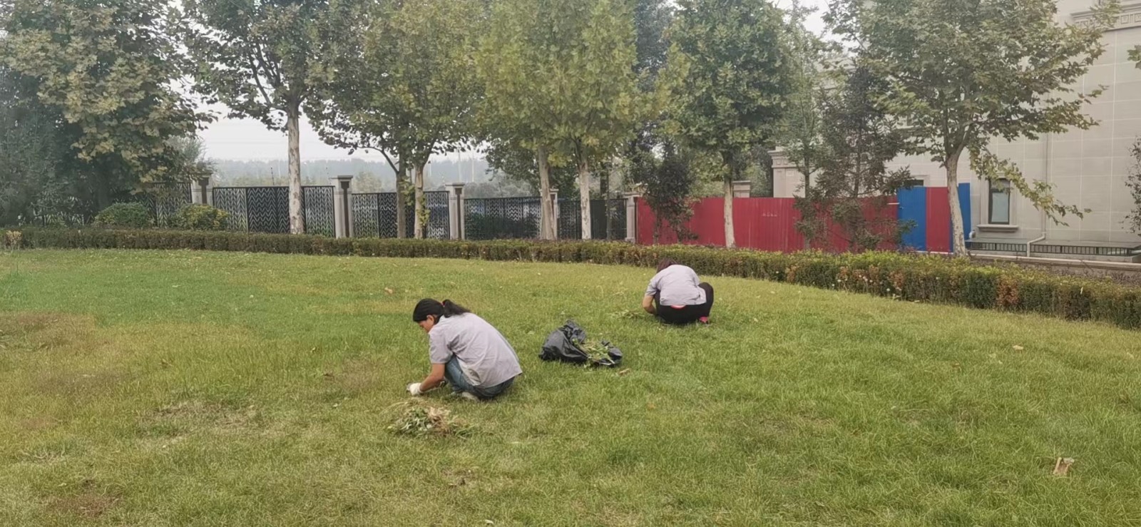 绿化外围养护