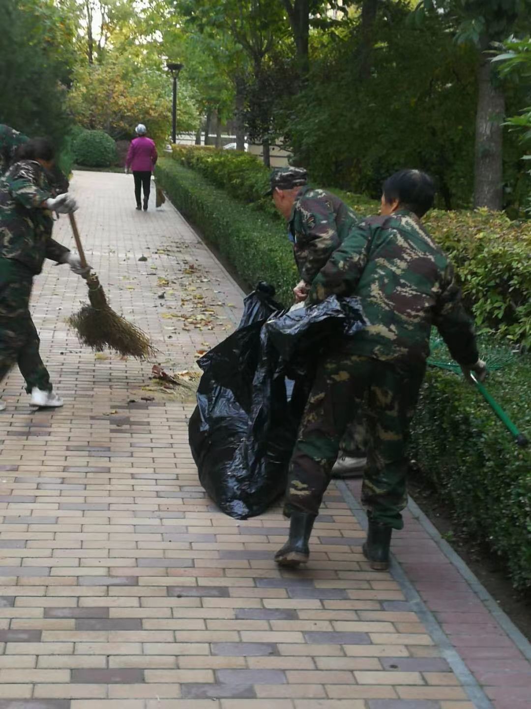 绿化外围养护1