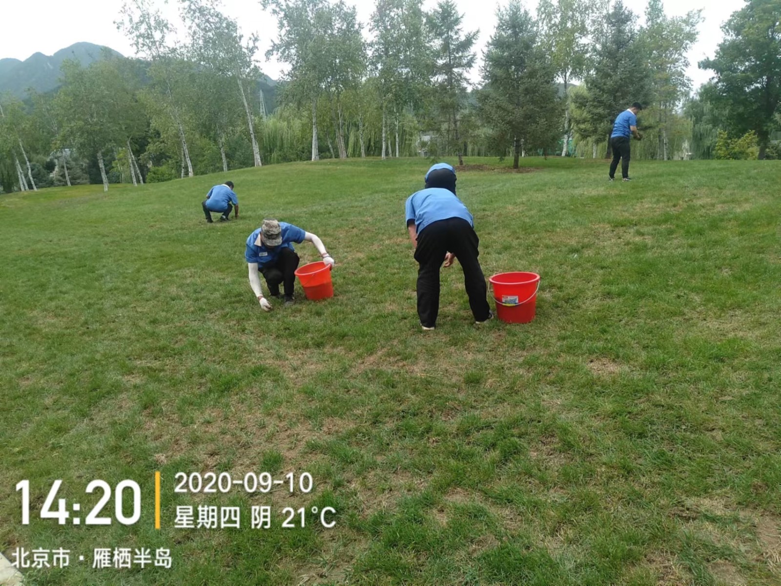 绿化外围养护4