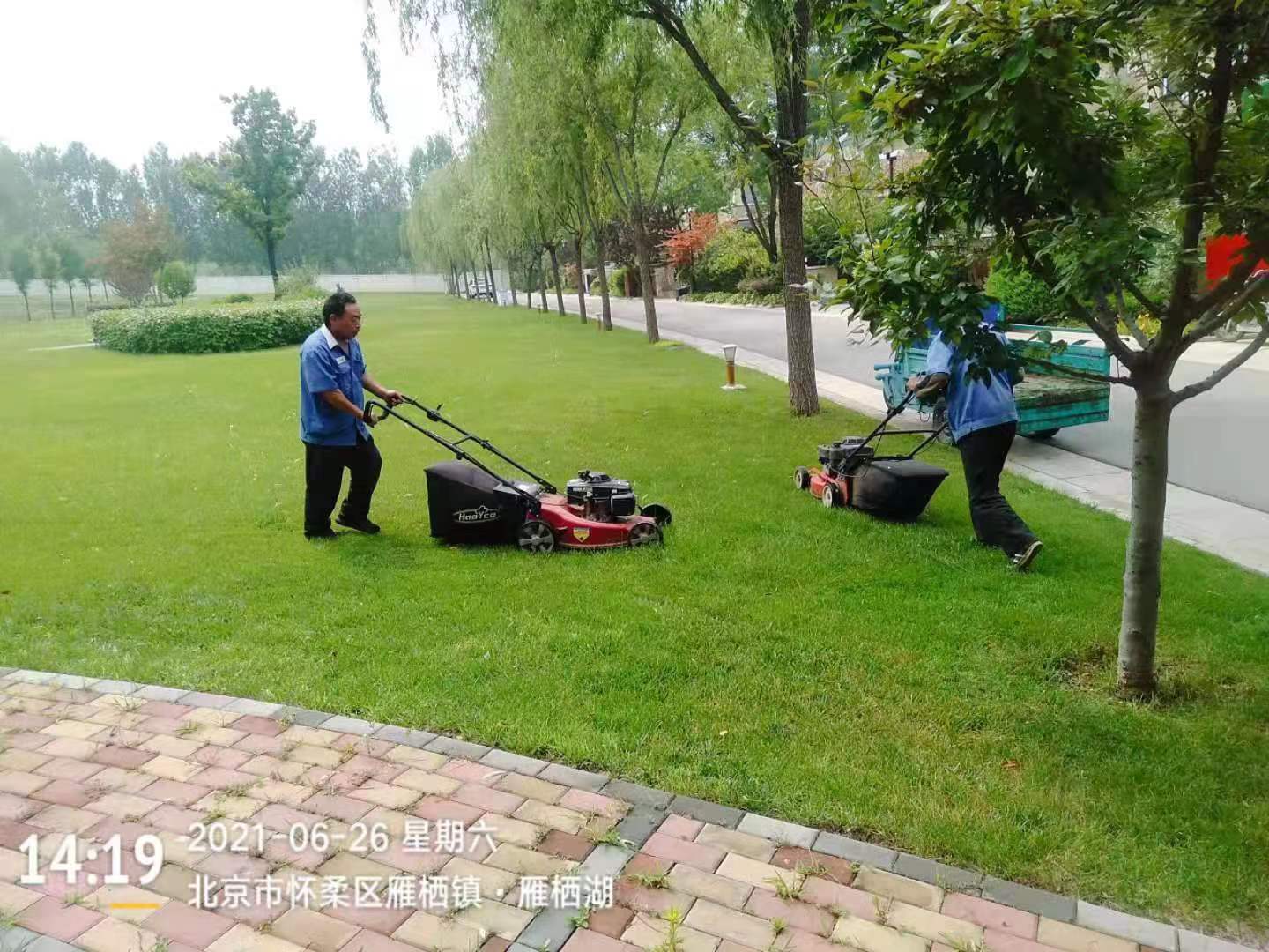 绿化外围养护5